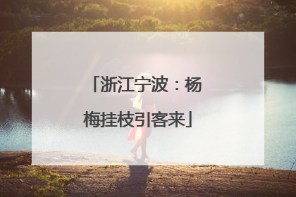 浙江宁波：杨梅挂枝引客来