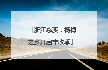 浙江慈溪：杨梅之乡开启丰收季