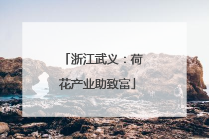 浙江武义：荷花产业助致富