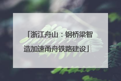 浙江舟山：钢桥梁智造加速甬舟铁路建设