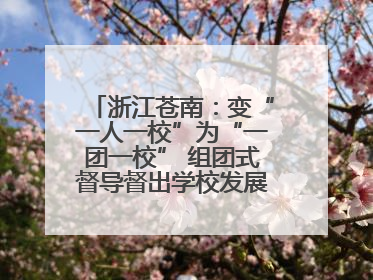 浙江苍南：变“一人一校”为“一团一校” 组团式督导督出学校发展加速度