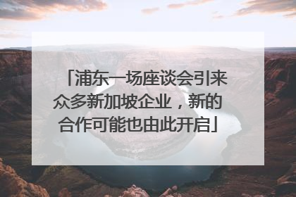 浦东一场座谈会引来众多新加坡企业，新的合作可能也由此开启