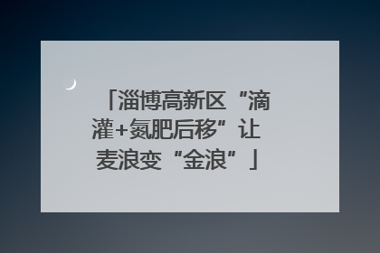 淄博高新区“滴灌+氮肥后移”让麦浪变“金浪”