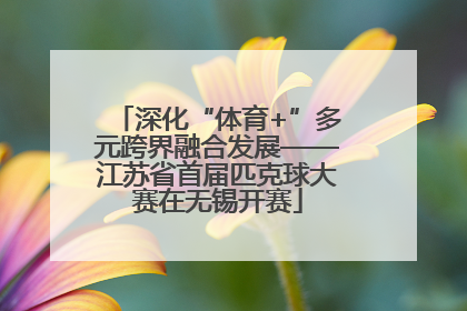 深化“体育+”多元跨界融合发展——江苏省首届匹克球大赛在无锡开赛