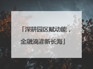深耕园区赋动能，金融滴灌新长海