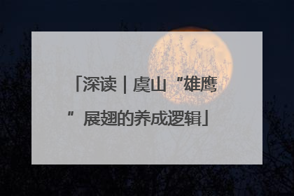 深读｜虞山“雄鹰”展翅的养成逻辑