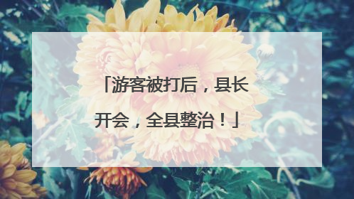 游客被打后，县长开会，全县整治！
