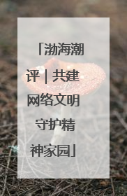 渤海潮评｜共建网络文明 守护精神家园