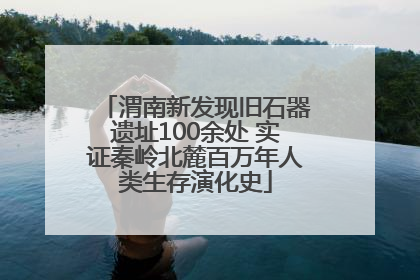 渭南新发现旧石器遗址100余处 实证秦岭北麓百万年人类生存演化史