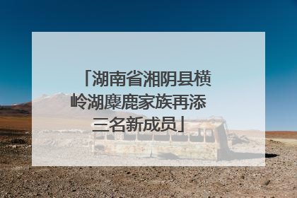 湖南省湘阴县横岭湖麋鹿家族再添三名新成员