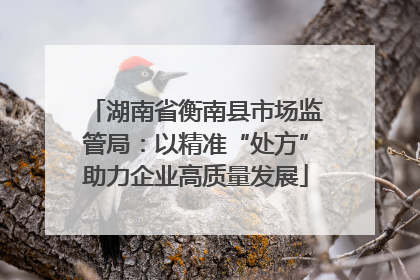 湖南省衡南县市场监管局：以精准“处方”助力企业高质量发展