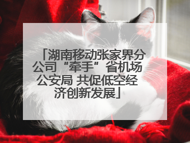 湖南移动张家界分公司“牵手”省机场公安局 共促低空经济创新发展