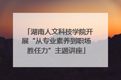 湖南人文科技学院开展“从专业素养到职场胜任力”主题讲座