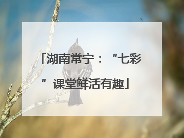 湖南常宁：“七彩”课堂鲜活有趣