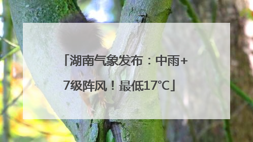 湖南气象发布：中雨+7级阵风！最低17℃