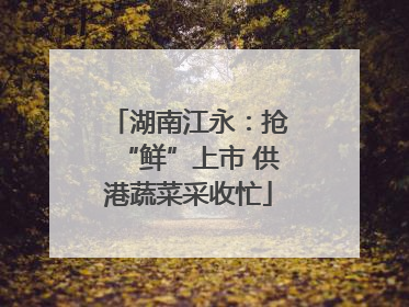 湖南江永：抢“鲜”上市 供港蔬菜采收忙