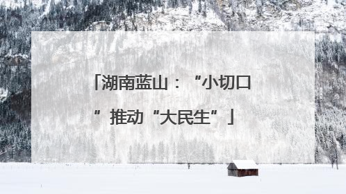 湖南蓝山：“小切口”推动“大民生”