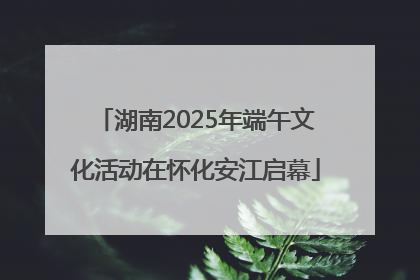 湖南2025年端午文化活动在怀化安江启幕