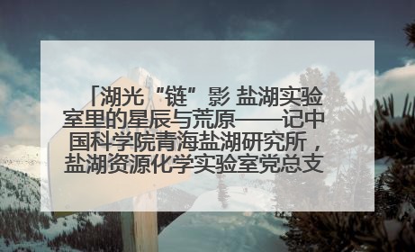 湖光“链”影 盐湖实验室里的星辰与荒原——记中国科学院青海盐湖研究所，盐湖资源化学实验室党总支书记、副主任刘忠