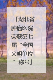 湖北省肿瘤医院荣获第七届“全国文明单位”称号