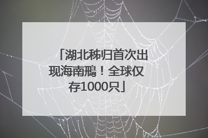 湖北秭归首次出现海南鳽！全球仅存1000只