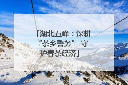 湖北五峰：深耕“茶乡警务” 守护春茶经济