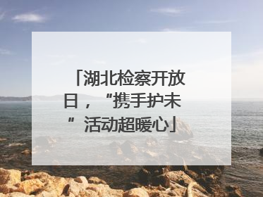 湖北检察开放日，“携手护未”活动超暖心