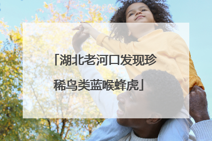 湖北老河口发现珍稀鸟类蓝喉蜂虎