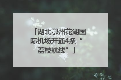 湖北鄂州花湖国际机场开通4条“荔枝航线”