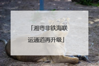 湘粤非铁海联运通道再升级