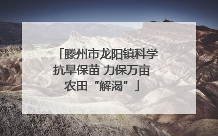 滕州市龙阳镇科学抗旱保苗 力保万亩农田“解渴”