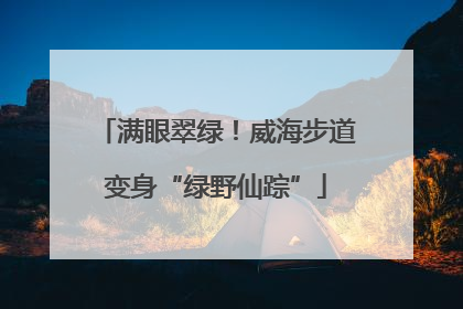 满眼翠绿！威海步道变身“绿野仙踪”