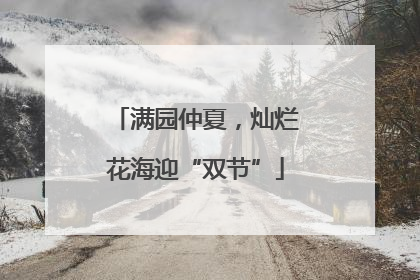 满园仲夏，灿烂花海迎“双节”