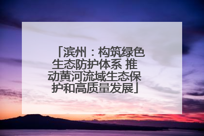 滨州：构筑绿色生态防护体系 推动黄河流域生态保护和高质量发展