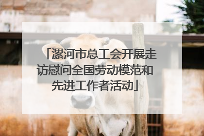 漯河市总工会开展走访慰问全国劳动模范和先进工作者活动