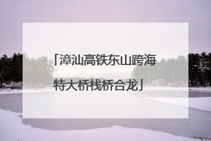 漳汕高铁东山跨海特大桥栈桥合龙