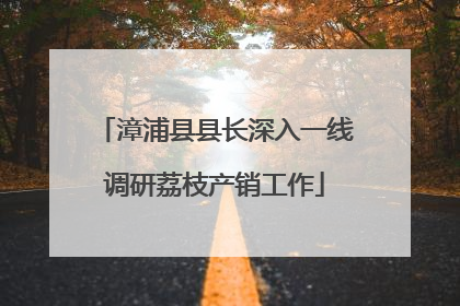 漳浦县县长深入一线调研荔枝产销工作