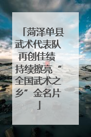 菏泽单县武术代表队再创佳绩 持续擦亮“全国武术之乡”金名片