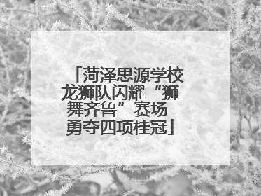菏泽思源学校龙狮队闪耀“狮舞齐鲁”赛场 勇夺四项桂冠