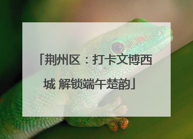 荆州区：打卡文博西城 解锁端午楚韵