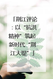 荆江评论：以“抗洪精神”筑起新时代“荆江大堤”