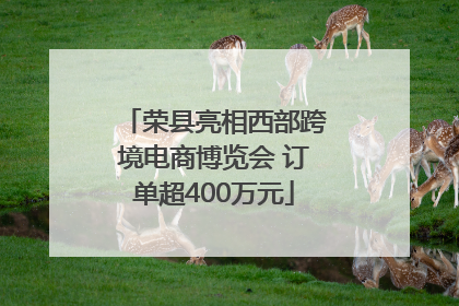 荣县亮相西部跨境电商博览会 订单超400万元