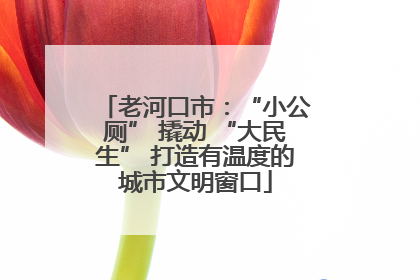 老河口市：“小公厕” 撬动 “大民生” 打造有温度的城市文明窗口