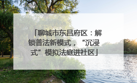 聊城市东昌府区：解锁普法新模式，“沉浸式”模拟法庭进社区