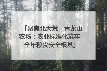 聚焦北大荒｜青龙山农场：农业标准化筑牢全年粮食安全根基
