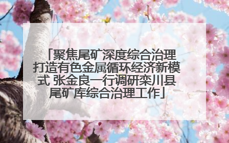 聚焦尾矿深度综合治理 打造有色金属循环经济新模式 张金良一行调研栾川县尾矿库综合治理工作