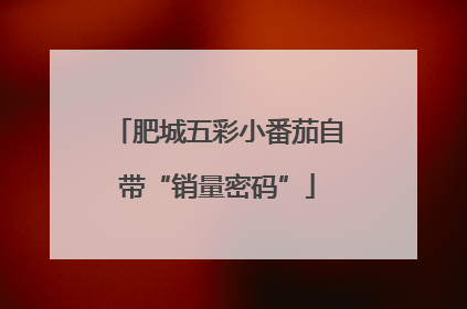 肥城五彩小番茄自带“销量密码”