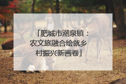 肥城市潮泉镇：农文旅融合绘就乡村振兴新画卷