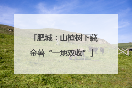 肥城：山楂树下藏金薯“一地双收”