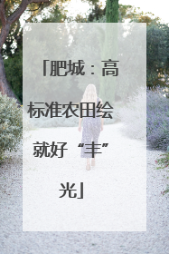 肥城：高标准农田绘就好“丰”光